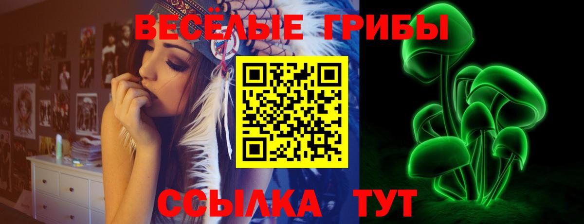 Светлоград  Псилоцибиновые грибы Psilocybe  Вход с VPN 